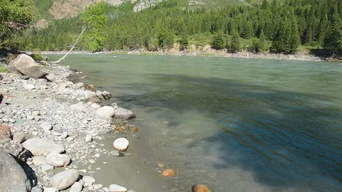Spring River Katun, Altai Mountains, Siberia Russia Stock Footage 83019114