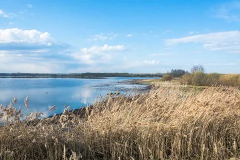 Spring river landscape. Stock Photos