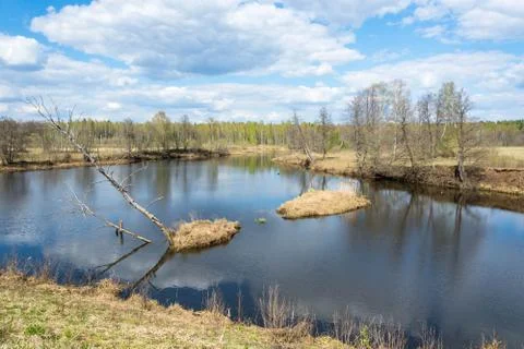 Spring river landscape. Stock Photos