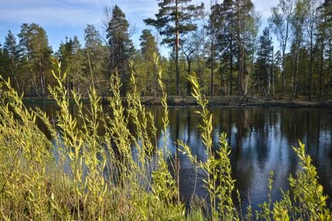 Spring river landscape. Stock Photos