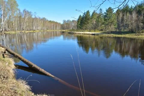 Spring river landscape. Stock Photos