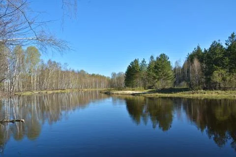 Spring river landscape. Foto stock