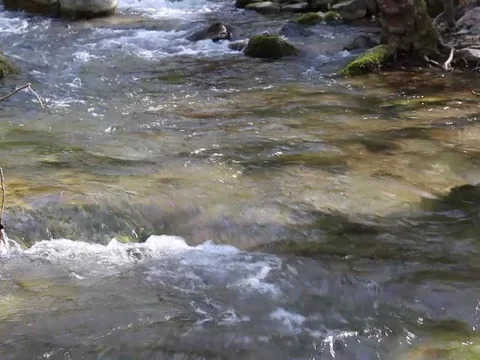 Spring river Luda Mara at the beginning Petrich, Vizdol Stock Footage 88295740