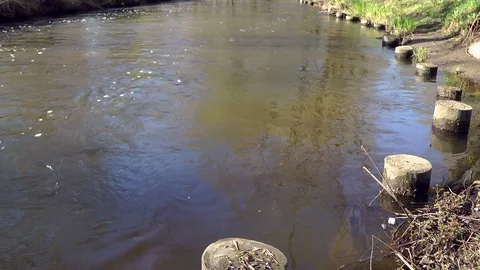 Spring river, over the river Stock Footage 97088513