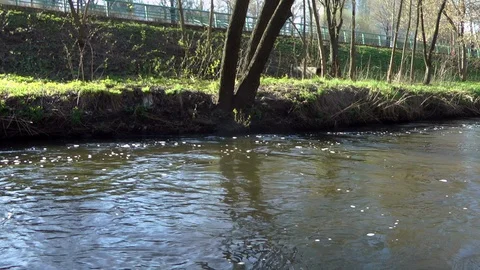 Spring river, over the river panorama Stock Footage 97082760
