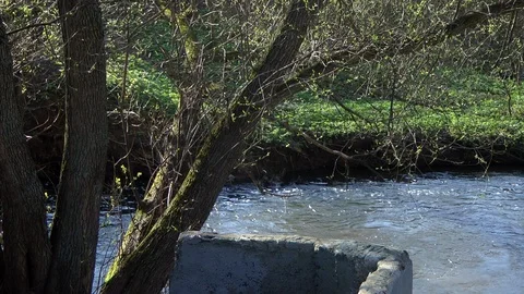 Spring river, over the river panorama 库存影片 97095830