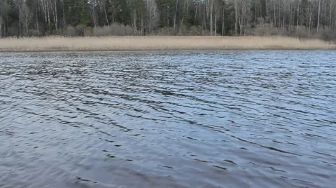 Spring river on an overcast day Stock Footage 49724560
