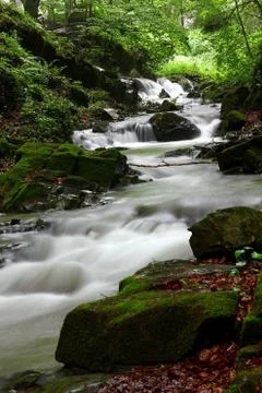 Spring River Stock Photos