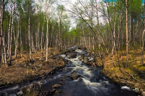 The spring river Foto stock