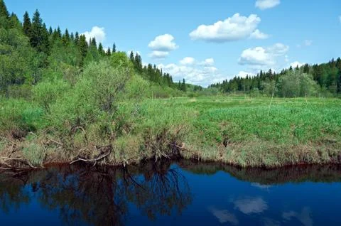 Spring on the river Stock Photos