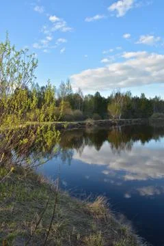 Spring on the river. Stock Photos