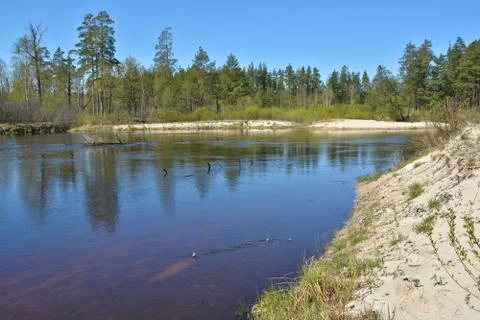 Spring on the river. Stock Photos