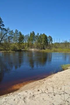 Spring on the river. Stock Photos