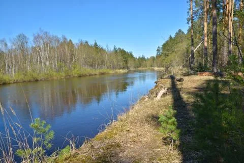Spring river. Stock Photos