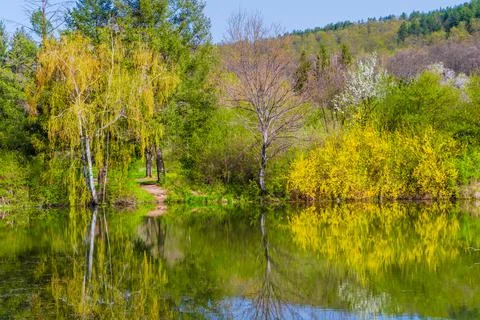 Spring river Stock Photos