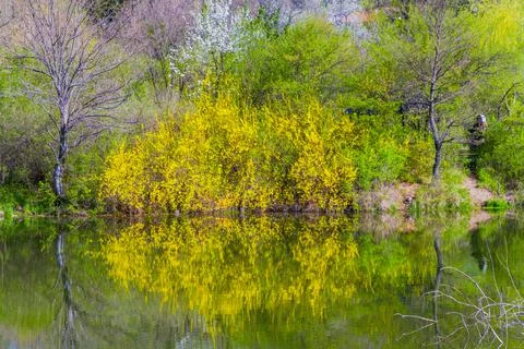 Spring river Stock Photos