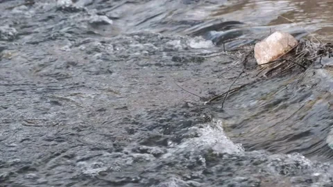 Spring river rapids Stock Footage 131554489