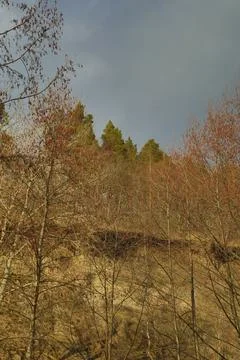 Spring river in the Russian outback Stock Photos