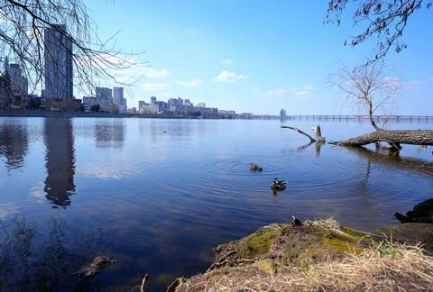 Spring River Scene with Ducks and Cityscape of Dnipro, Ukraine Stock Photos