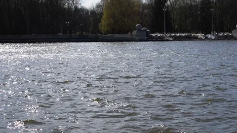 Spring river seagulls Stock Footage 88873054