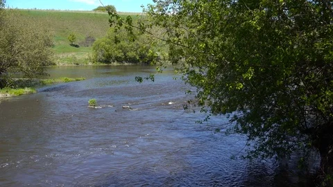Spring river stream at sunny weather, 4K UHD video clip Stock Footage 86014118