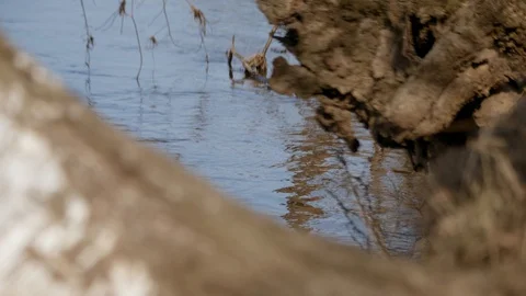 Spring river on a Sunny day. Stockbeeldmateriaal 128221763