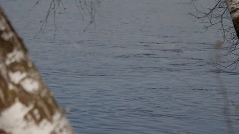 Spring river on a Sunny day. Stock Footage 128221807