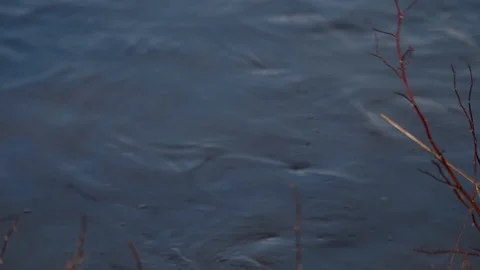 Spring river on a Sunny day. Stock Footage 128238389