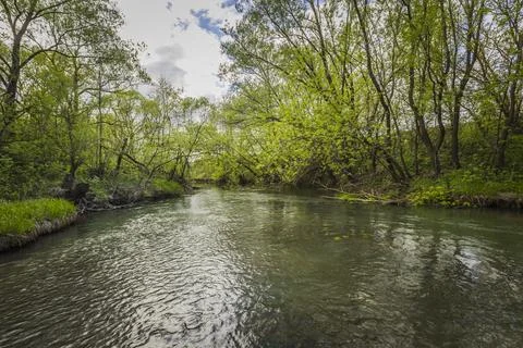 Spring river in the wild Stock Photos