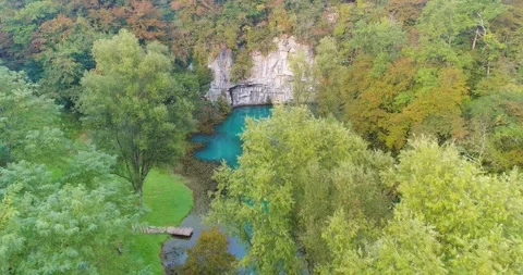 Spring river winding through forest, Slovenia, Stock Footage 326198772