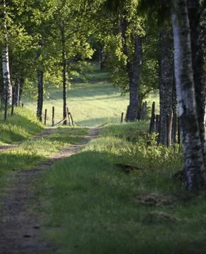 Spring road Stockfoto's