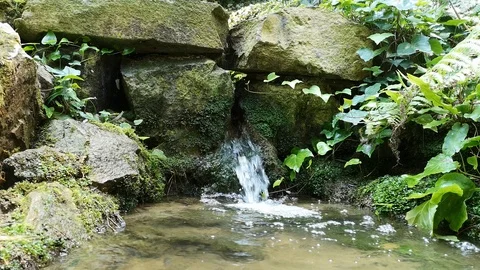 Spring from a rock gushing in a pond. 库存影片 94046091