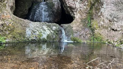 Spring in the rocks. Stock Photos
