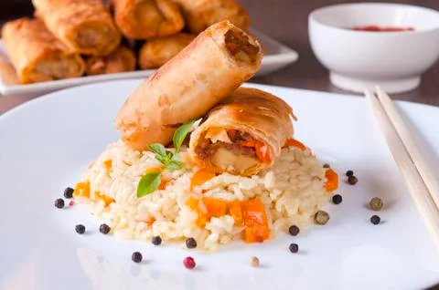 Spring rolls and rice Stock Photos