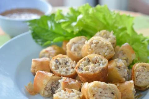 Spring rolls Stock Photos