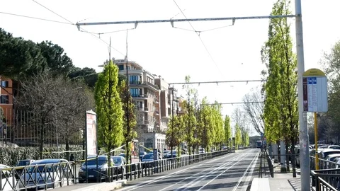 Spring in Rome tram route with flowering trees next to it Video stock 88313238