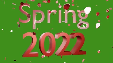 Spring  rose petals falling 3D animation green screen 2022 Stock Footage 169326009