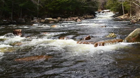 Spring runoff in mountains Stock Footage 151657856