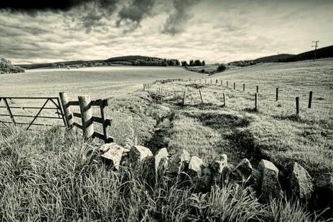 Spring rural landscape with stone wall,  scotland Stock Photos