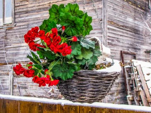 Spring in Russia Stock Photos