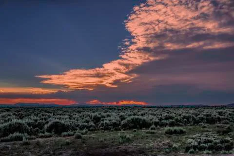 Spring Sage Sunset Stock Photos