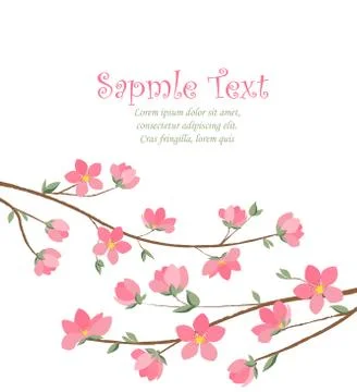 Spring sakura blossom Stock Illustration