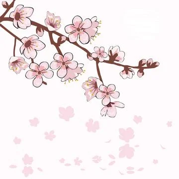 Spring Sakura cherry blooming flowers branch element Stock Illustration