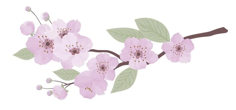 Spring sakura cherry blooming flowers branch. Design spring tree illustration 스톡 일러스트