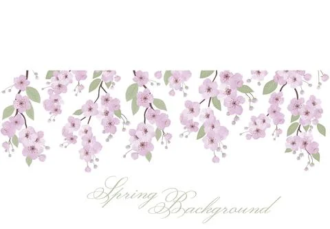 Spring sakura cherry blooming flowers branch. Design spring tree illustration 库存插图