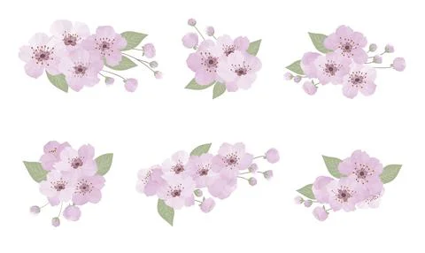 Spring sakura cherry blooming flowers bouquet 库存插图