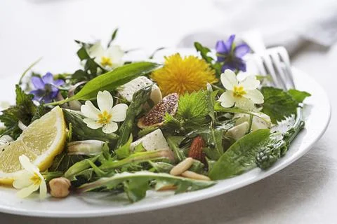 Spring salad Stock Photos