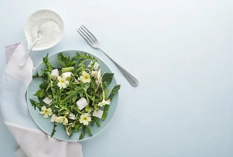 Spring salad Stock Photos