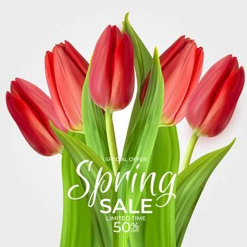 Spring Sale Template Background with realistic Red Tulip Flower. Vector Illus Stock Illustration