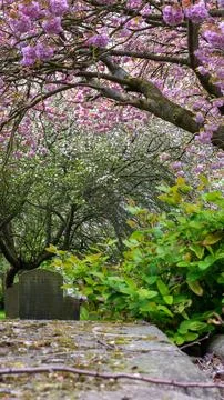 Spring scene in a Graveyard Stock Photos